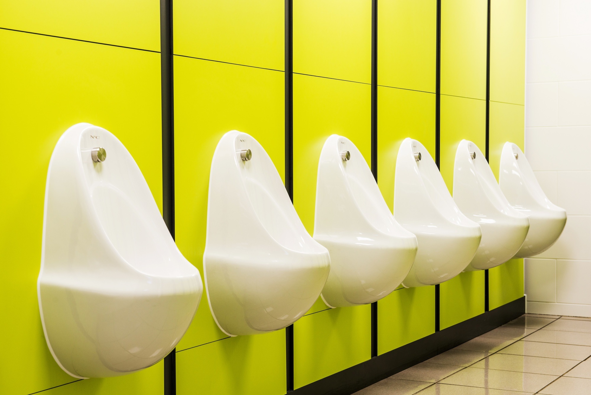 New urinals inside a theme park toilet room.